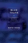 Blue Truth cover