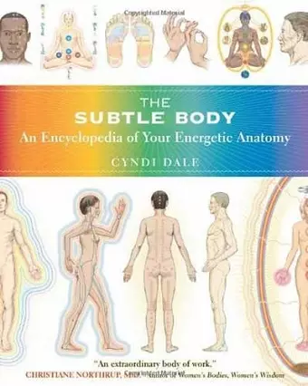 The Subtle Body cover