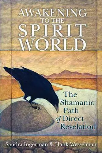Awakening to the Spirit World cover