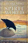 Awakening to the Spirit World cover