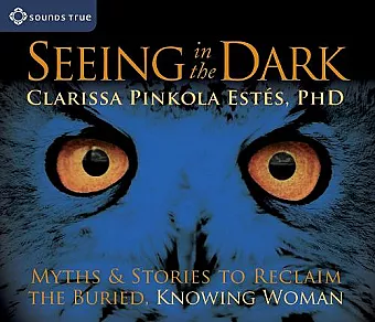 Seeing in the Dark cover