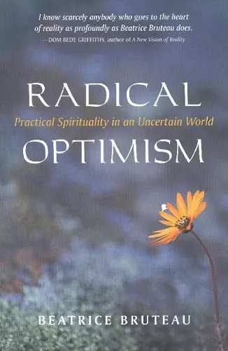 Radical Optimism cover