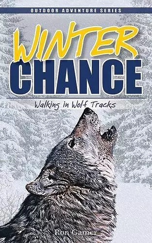 Winter Chance cover