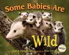 Some Babies Are Wild cover