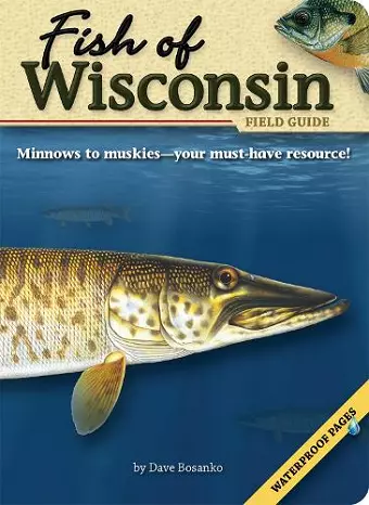 Fish of Wisconsin Field Guide cover