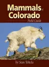 Mammals of Colorado Field Guide cover