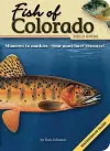 Fish of Colorado Field Guide cover