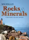 Michigan Rocks & Minerals cover