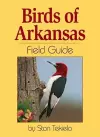 Birds of Arkansas Field Guide cover