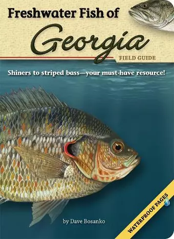 Freshwater Fish of Georgia Field Guide cover