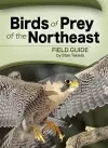 Birds of Prey of the Northeast Field Guide cover