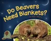 Do Beavers Need Blankets? cover