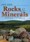 New York Rocks & Minerals cover