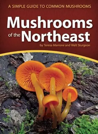 Mushrooms of the Northeast cover