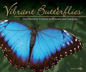 Vibrant Butterflies cover