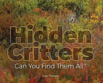 Hidden Critters cover