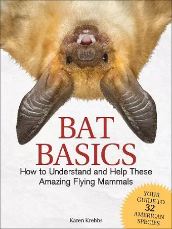 Bat Basics cover