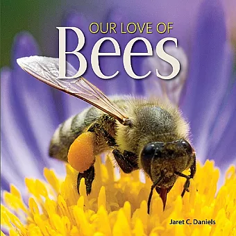 Our Love of Bees cover