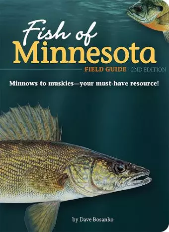 Fish of Minnesota Field Guide cover