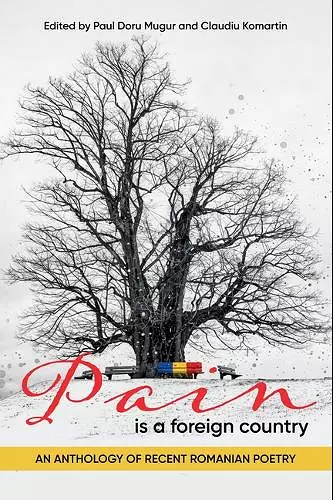 Pain Is a Foreign Country cover