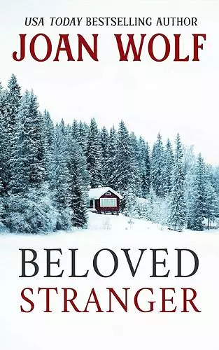 Beloved Stranger cover