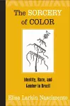 The Sorcery of Color cover