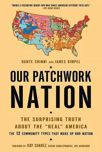 Our Patchwork Nation cover