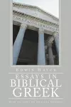 Essays in Biblical Greek cover