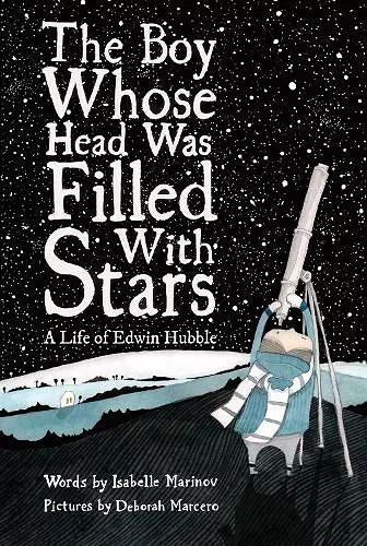 The Boy Whose Head Was Filled with Stars cover