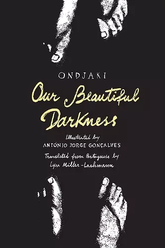 Our Beautiful Darkness cover