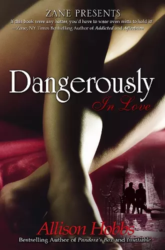 Dangerously In Love cover