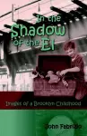 In the Shadow of the El cover