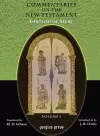 The Commentaries on the New Testament of Isho'dad of Merv (Vol 1) cover