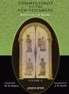 The Commentaries on the New Testament of Isho'dad of Merv (Vol 2) cover