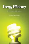Energy Efficiency cover