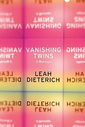 Vanishing Twins cover