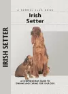 Irish Setter cover