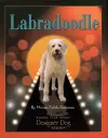 Labradoodle cover