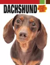 Dachshund cover