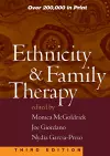 Ethnicity and Family Therapy, Third Edition cover