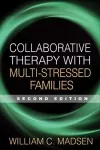Collaborative Therapy with Multi-Stressed Families, Second Edition cover
