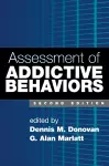 Assessment of Addictive Behaviors, Second Edition cover