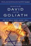 Making David into Goliath cover