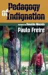 Pedagogy of Indignation cover
