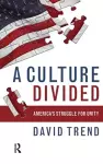 Culture Divided cover