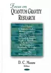Focus on Quantum Gravity Research cover