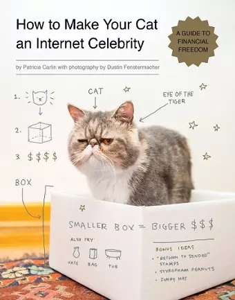 How to Make Your Cat an Internet Celebrity cover