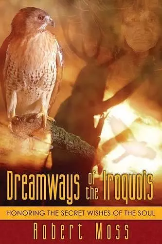 Dreamways of the Iroquois cover