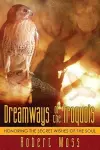 Dreamways of the Iroquois cover