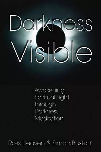 Darkness Visible cover